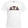 Delta Tau Delta DTD Lettered V-Neck T-Shirt(White)