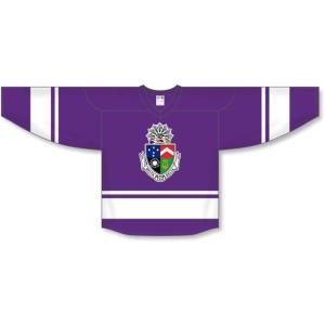 Delta Tau Delta DTD League Hockey Jersey(Purple/White)