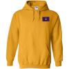 Greekgear Lambda Chi Alpha Flag Patch Hooded Sweatshirt(Athletic Gold)