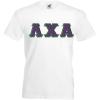 Lambda Chi Alpha Lettered V-Neck T-Shirt(White)