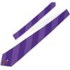 Greekgear FIJI Fraternity – Phi Gamma Delta Striped Necktie