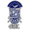 Phi Beta Sigma Shield Lapel Pin