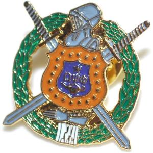 Omega Psi Phi 3D Color Shield Pins
