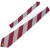 Greekgear Phi Sigma Kappa Striped Necktie