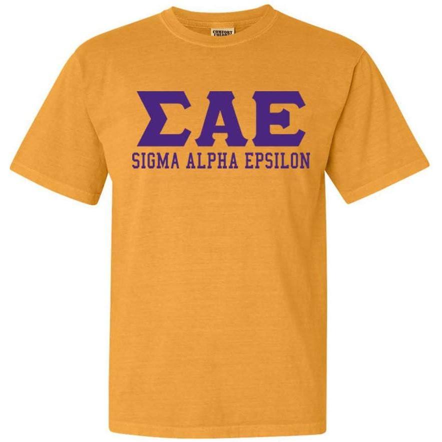 imageSigma Alpha Epsilon SAE Greek Heavyweight TShirtCitrus