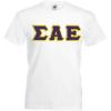 Greekgear Sigma Alpha Epsilon SAE Lettered V-Neck T-Shirt(White)