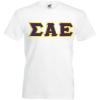 Sigma Alpha Epsilon SAE Lettered V-Neck T-Shirt(White)