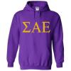 Sigma Alpha Epsilon SAE World Famous Greek Hoodie – Purple with Gold Imprint(Purple)
