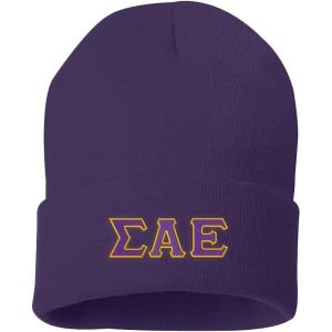 Sigma Alpha Epsilon SAE Big Greek Lettered Knit Cap(Purple)