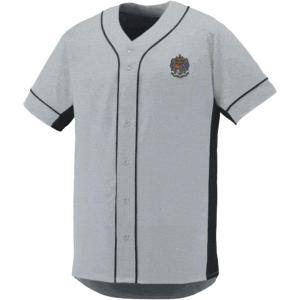 Sigma Alpha Epsilon SAE Fraternity Crest Slugger Baseball Jersey(Silver/Black)
