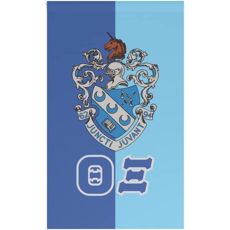 imageTheta Xi House Banner