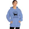 Anything Your Dog Can Do, My Golden Retriever Can Do Better Hooded Sweatshirt(Carolina Blue)