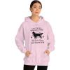 Anything Your Dog Can Do, My Golden Retriever Can Do Better Hooded Sweatshirt(Light Pink)