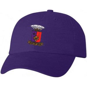 Sigma Phi Epsilon SigEp Crest – Shield Hat(Purple)