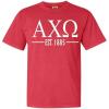 Alpha Chi Omega Custom Greek Lettered Short Sleeve T-Shirt(Red)