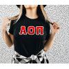 Alpha Omicron Pi AOII Two Tone Greek Lettered T-Shirt(Black)