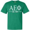 Alpha Epsilon Phi Custom Greek Lettered Short Sleeve T-Shirt(Grass)