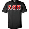 Alpha Omicron Pi AOII Two Tone Greek Lettered T-Shirt(Black)