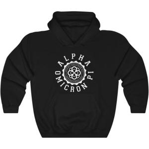 Greekgear Alpha Omicron Pi Unisex College Seal Hoodie(Black)