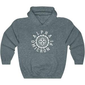 Greekgear Alpha Omicron Pi Unisex College Seal Hoodie(Dark Heather)