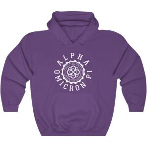 Greekgear Alpha Omicron Pi Unisex College Seal Hoodie(Purple)