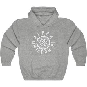 Greekgear Alpha Omicron Pi Unisex College Seal Hoodie(Sport Grey)