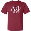 Alpha Phi Custom Greek Lettered Short Sleeve T-Shirt(Brick)