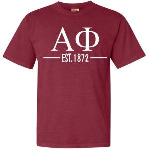 Alpha Phi Custom Greek Lettered Short Sleeve T-Shirt(Brick)