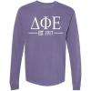 Delta Phi Epsilon Custom Greek Lettered Long Sleeve T-Shirt(Violet)