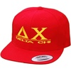 Delta Chi Flatbill Snapback Hats Original(Red)