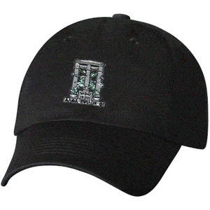 Alpha Epsilon Phi Crest Hat(Black)