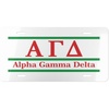 Alpha Gamma Delta Lettered Lines License Covers