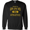 Kappa Alpha Theta Athletics Crewneck Sweatshirt(Black)