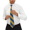 Greekgear Sigma Chi Striped Necktie