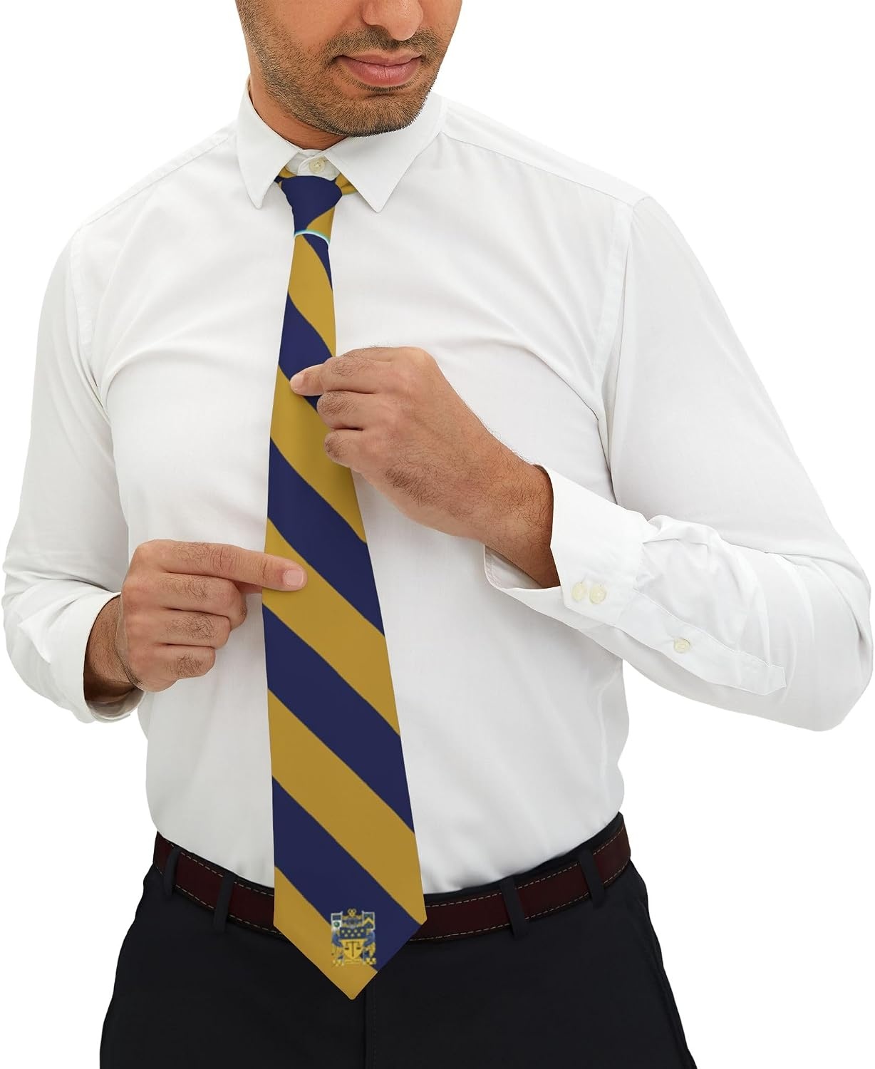 image:imageGreekgear Delta Upsilon Striped Necktie