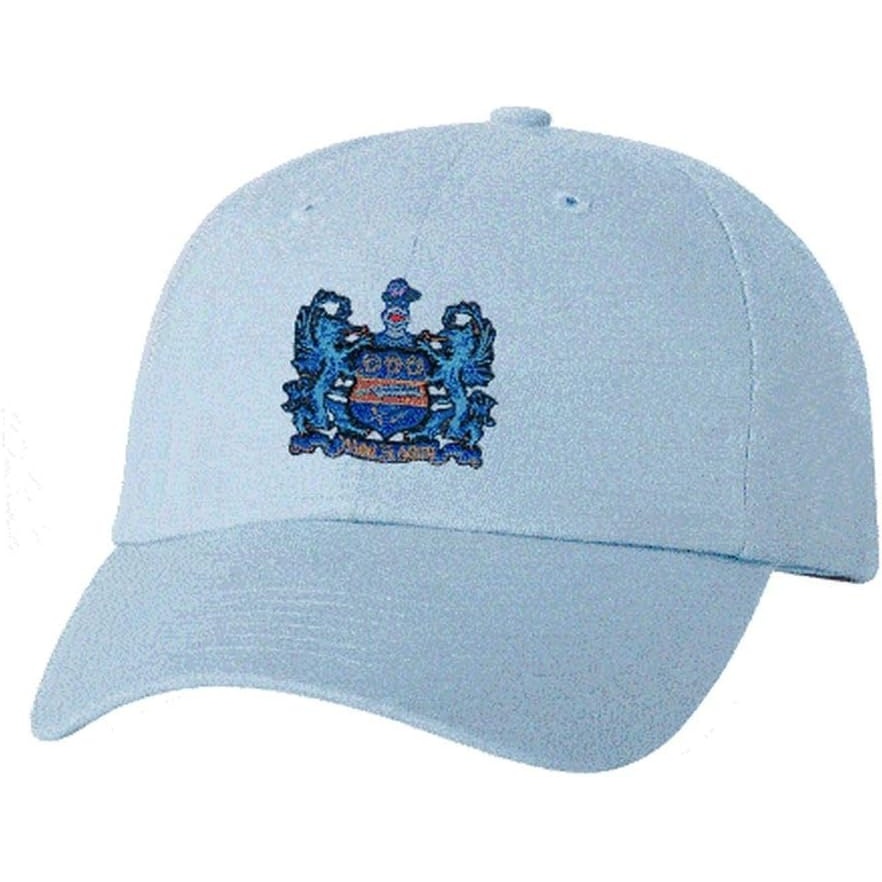 image:imageAlpha Xi Delta Crest HatLight Blue