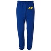 Delta Upsilon DU Greek Lettered Thigh Sweatpants(Royal Blue)