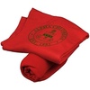 Greekgear Alpha Chi Omega Sweatshirt Blankets