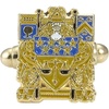 Delta Upsilon DU Color Crest Cuff Links Multicolored