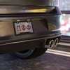 Omega PSI PHI Lettered License Covers
