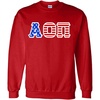 Alpha Omicron PI AOII Greek Letter American Flag Crewneck(Red)