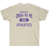 Omega Psi Phi Athletics T-Shirt(Sand)