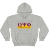 Greekgear Omega Psi Phi Starburst World Famous Hooded Sweatshirt(Sports Grey)