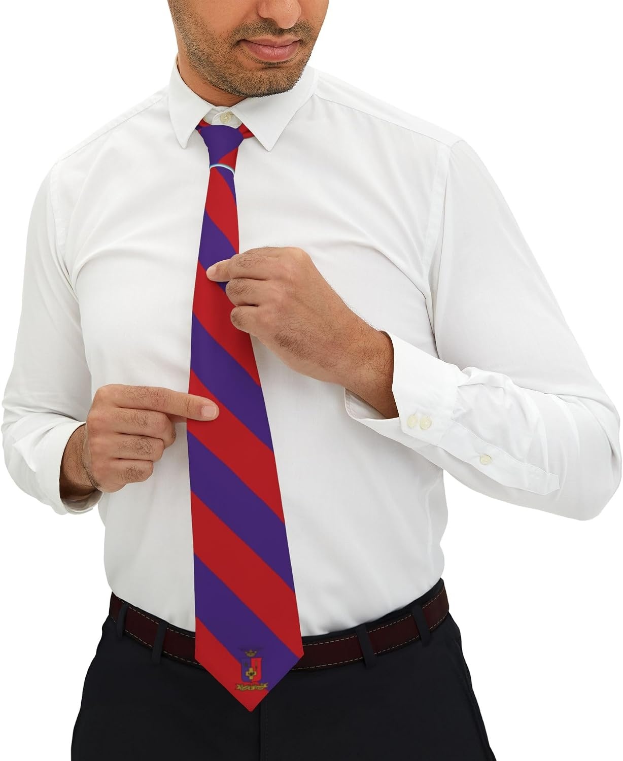 image:imageGreekgear Sigma Phi Epsilon Striped Necktie