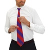 Greekgear Sigma Phi Epsilon Striped Necktie