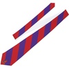 Greekgear Sigma Phi Epsilon Striped Necktie