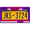 Sigma Phi Epsilon SigEp Year License Plate Frame