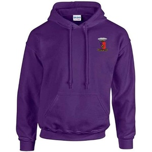 Sigma Phi Epsilon SigEp World Famous Greek Patch Hoodie(Purple)