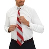 Greekgear Tau Kappa Epsilon (TKE) Striped Necktie