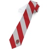Greekgear Tau Kappa Epsilon (TKE) Striped Necktie